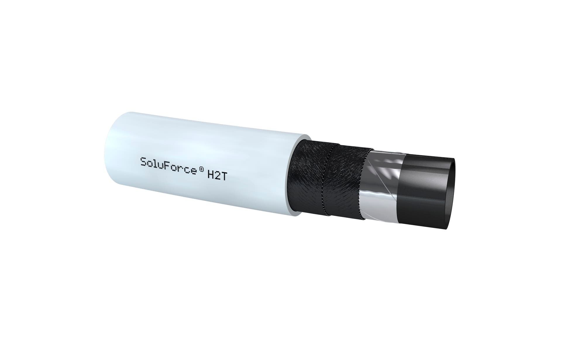 Soluforce Rol SoluForce joins hydrogen consortium in Argentina